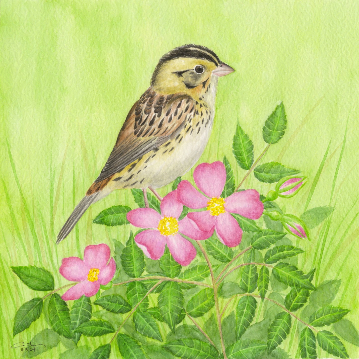 Print: Henslow's Sparrow