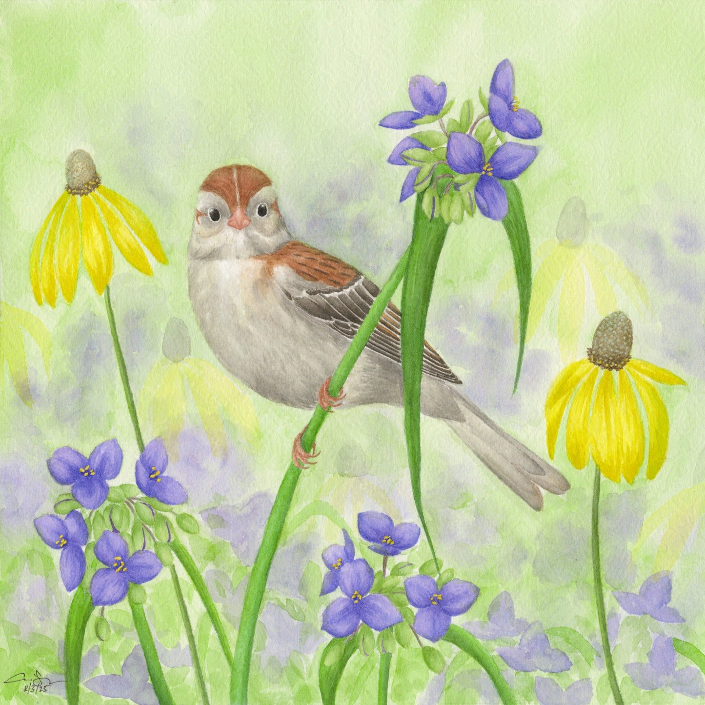 Print: Field Sparrow