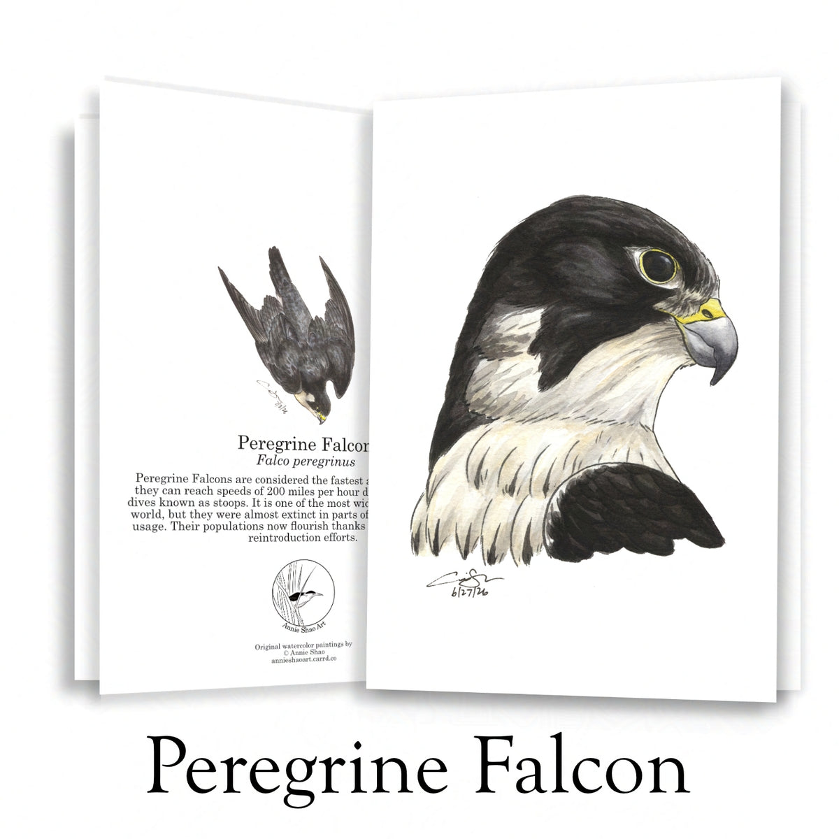 Raptor Greeting Card