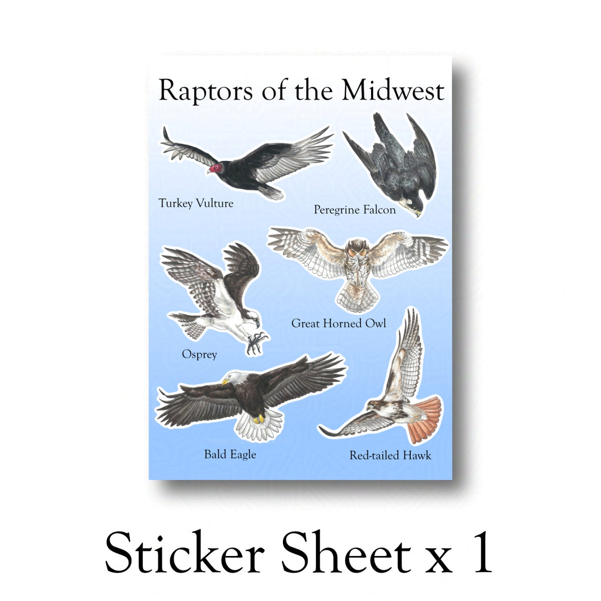Flying Raptors Sticker Sheet (Pre-order)
