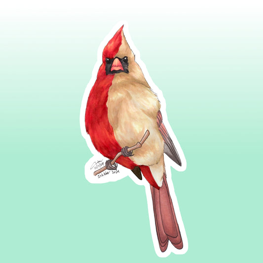 Sticker: Gynandromorph Northern Cardinal
