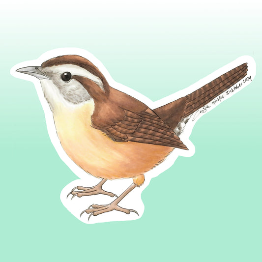 Sticker: Carolina Wren