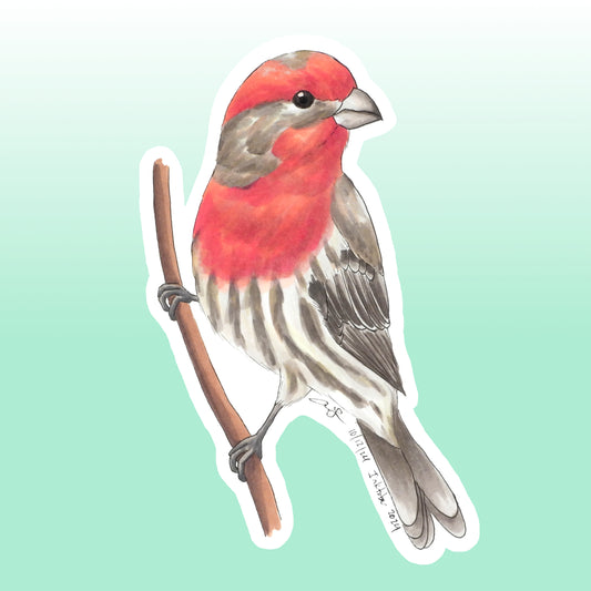 Sticker: House Finch