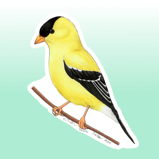 Sticker: American Goldfinch