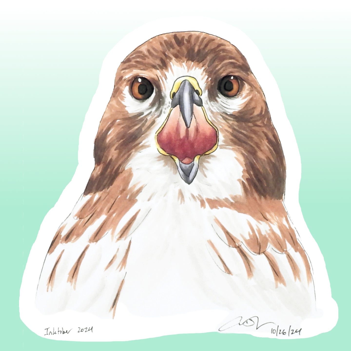 Red-tailed Hawk Sticker