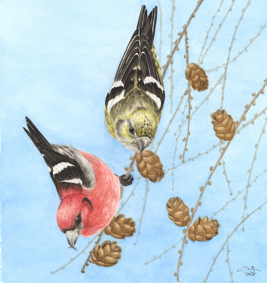 Seasons on the Wing Prints
