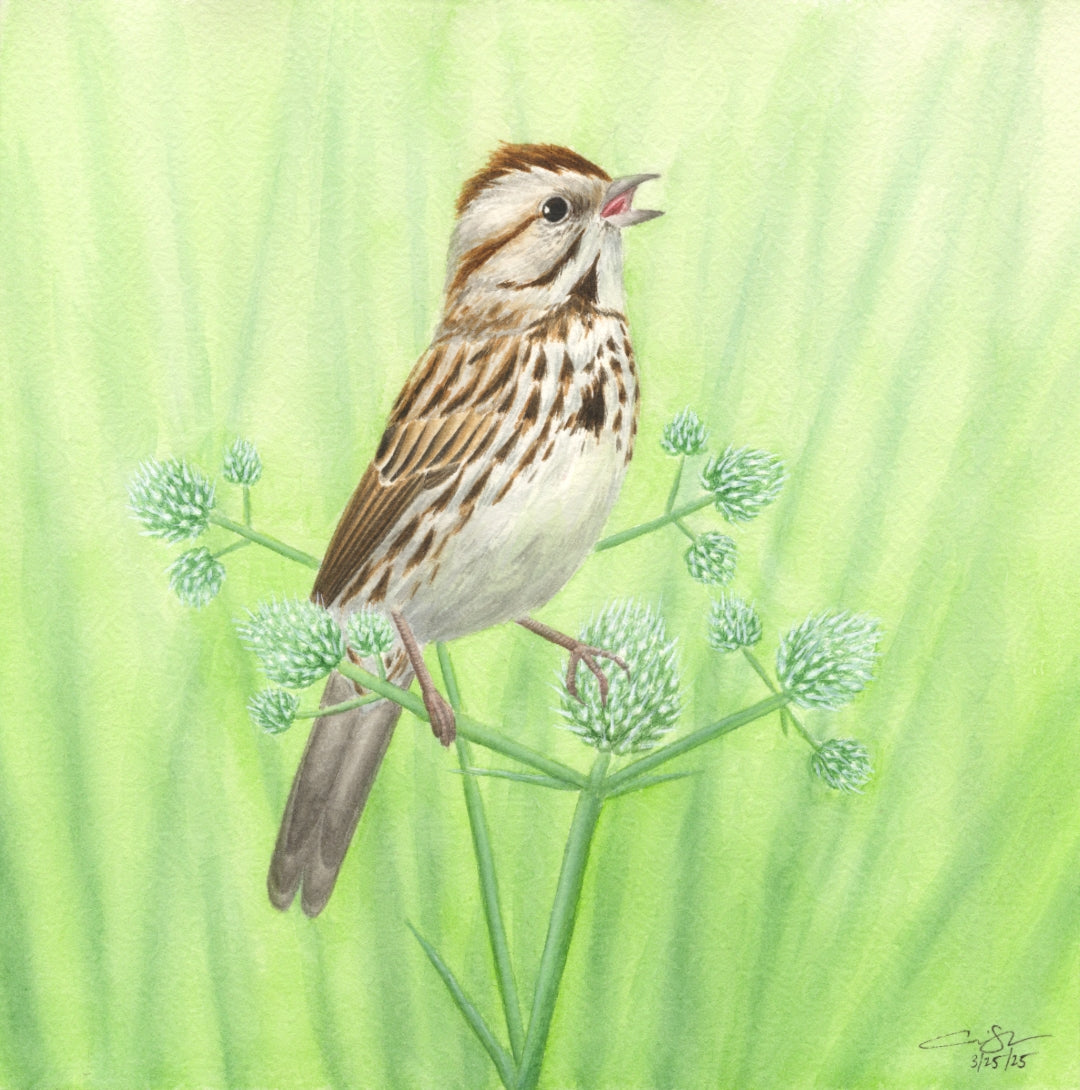 Seasons on the Wing Prints