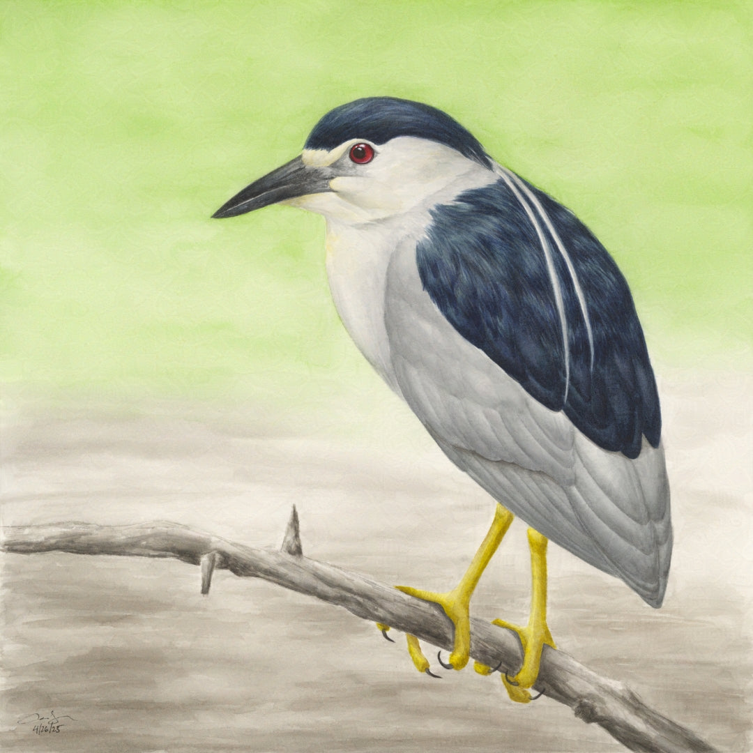Seasons on the Wing Prints