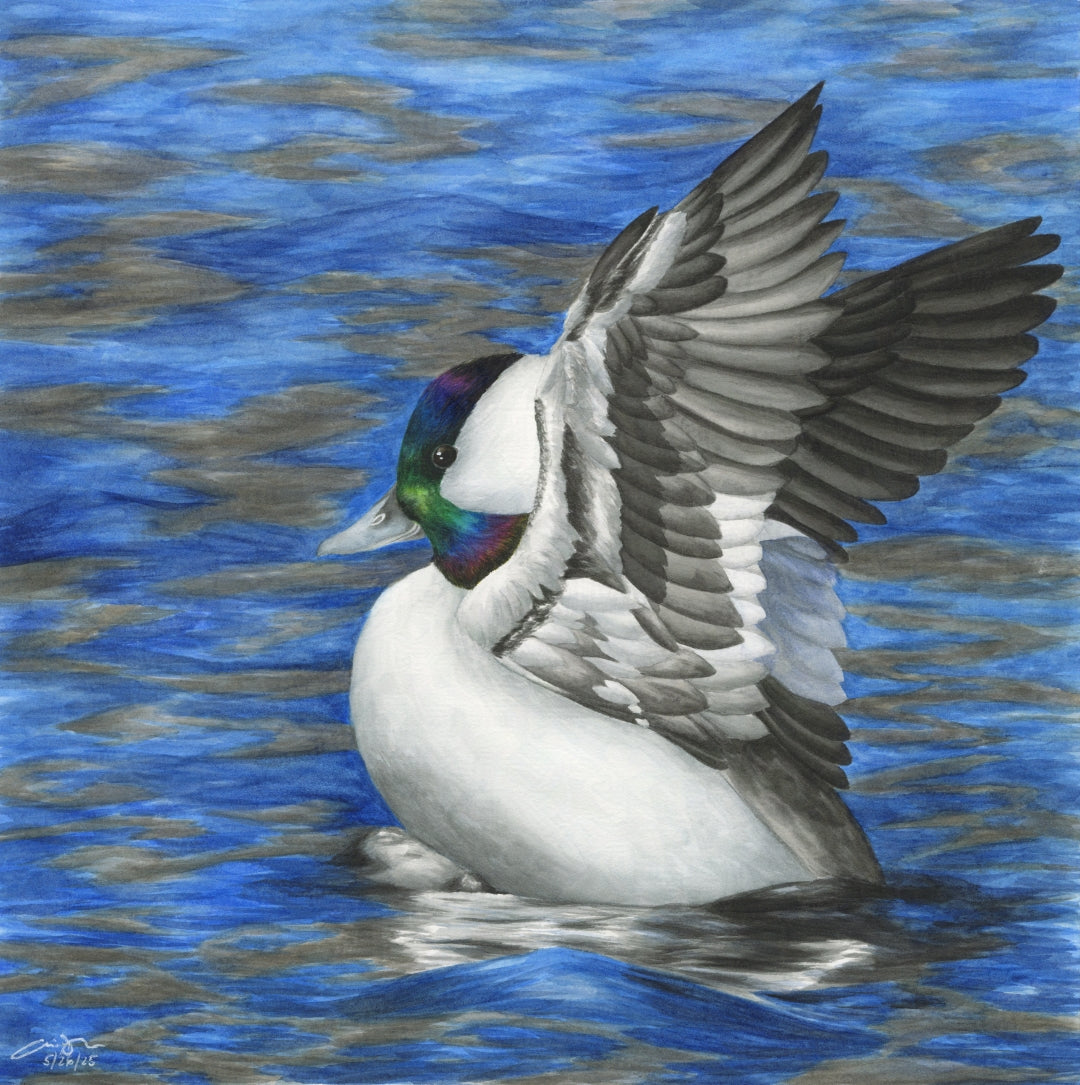 Seasons on the Wing Prints