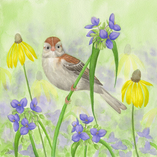 Print: Field Sparrow
