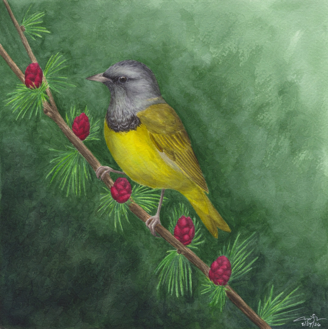Seasons on the Wing Prints