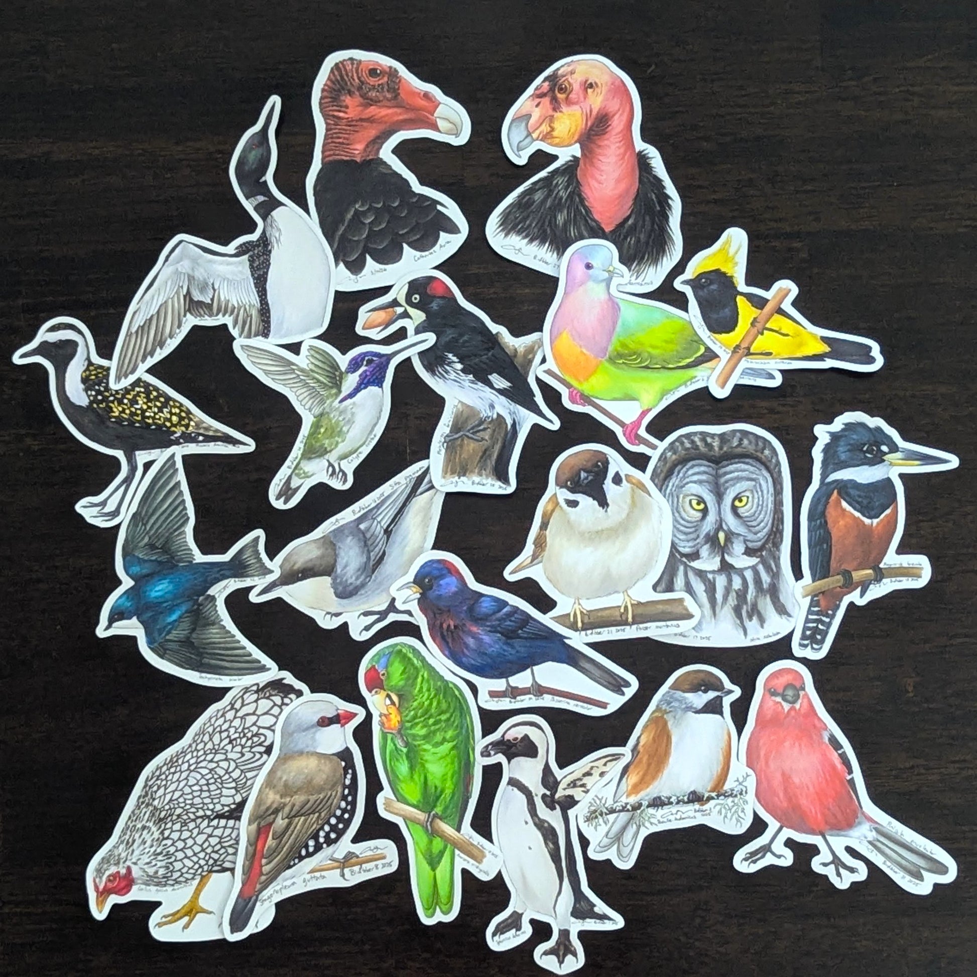 All 20 of my Birdtober 2025 art stickers laid out together on a dark wood surface