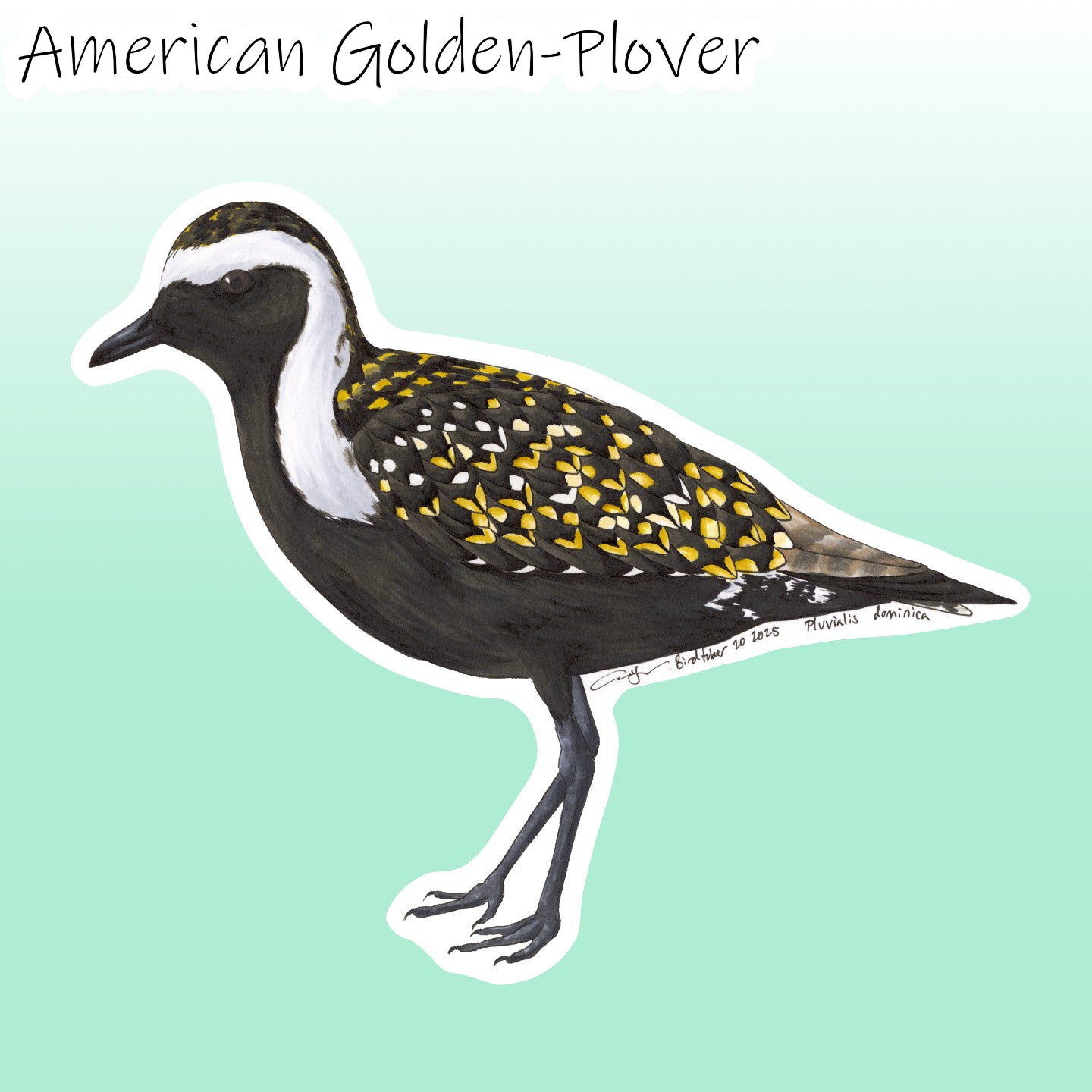 Birdtober 2025 Stickers