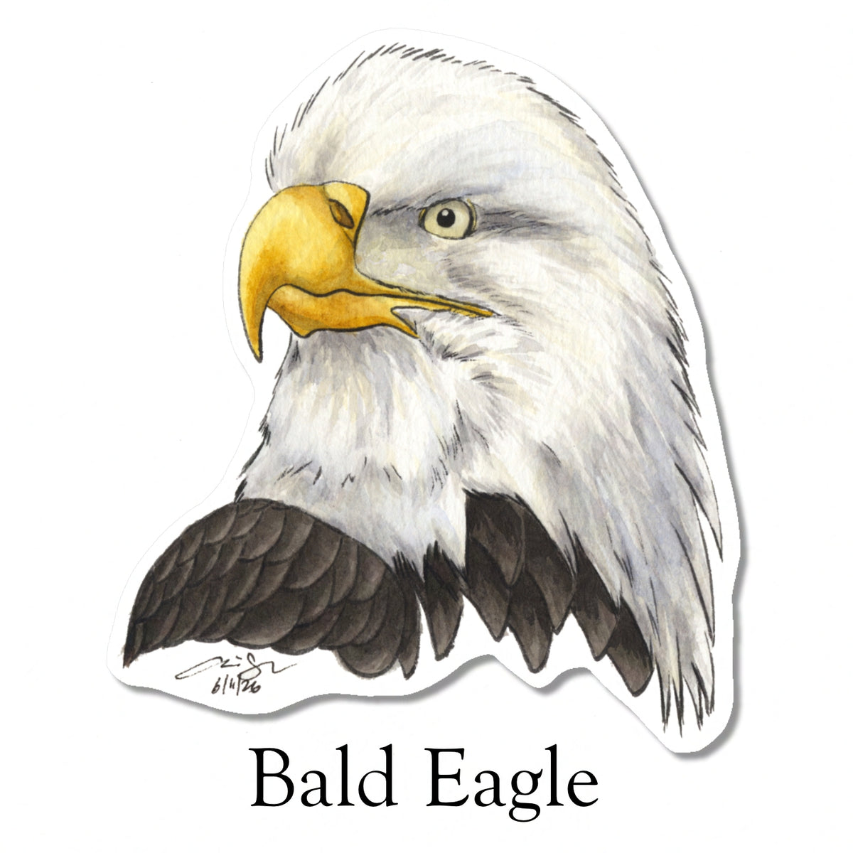 Raptor Portrait Stickers (Pre-order)