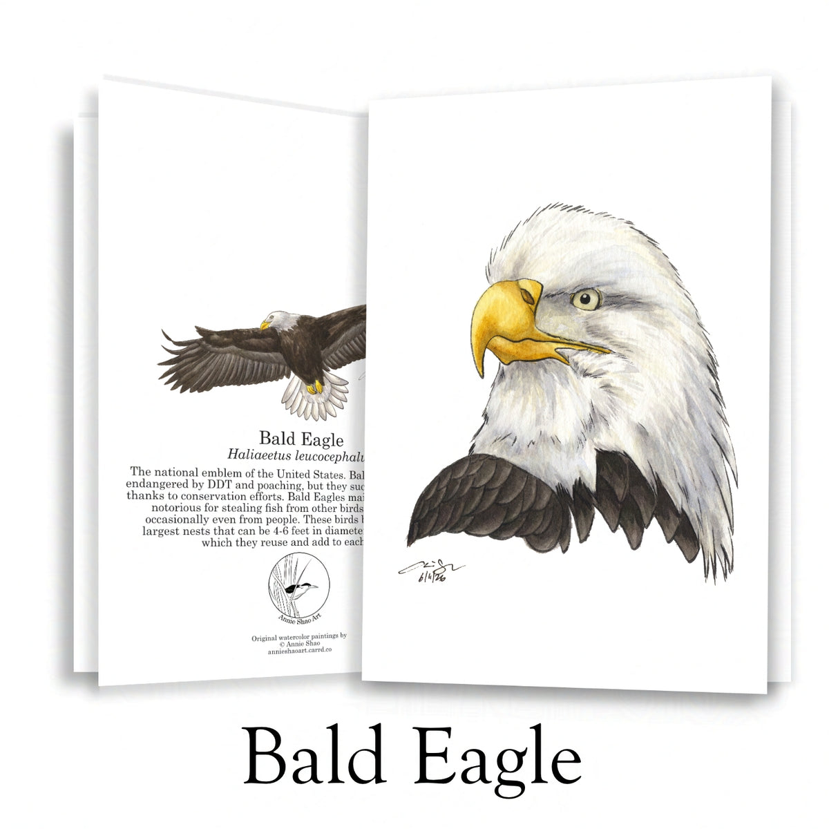 Raptor Greeting Card