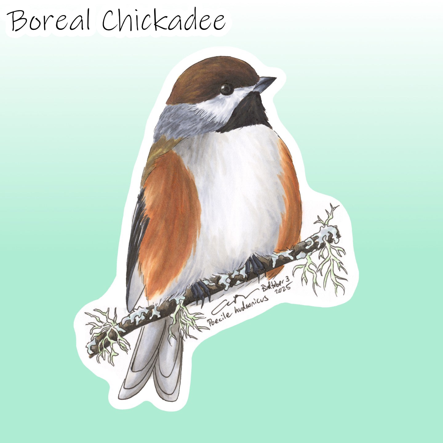 Birdtober 2025 Stickers