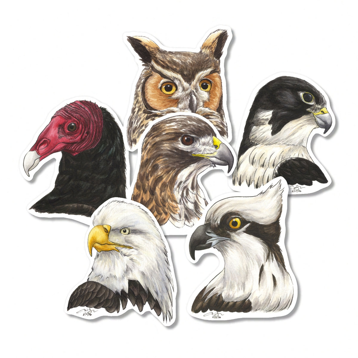 Raptor Portrait Stickers (Pre-order)