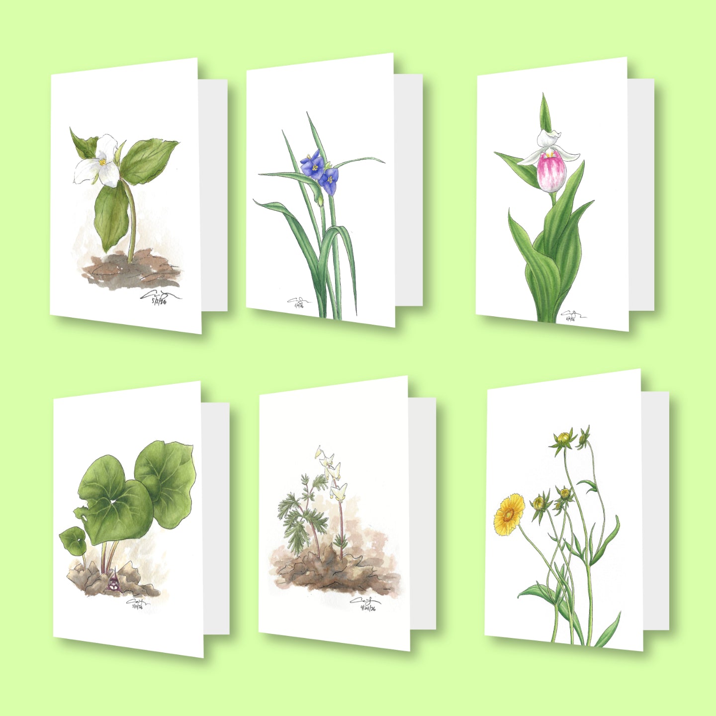 Native Wildflower Greeting Card