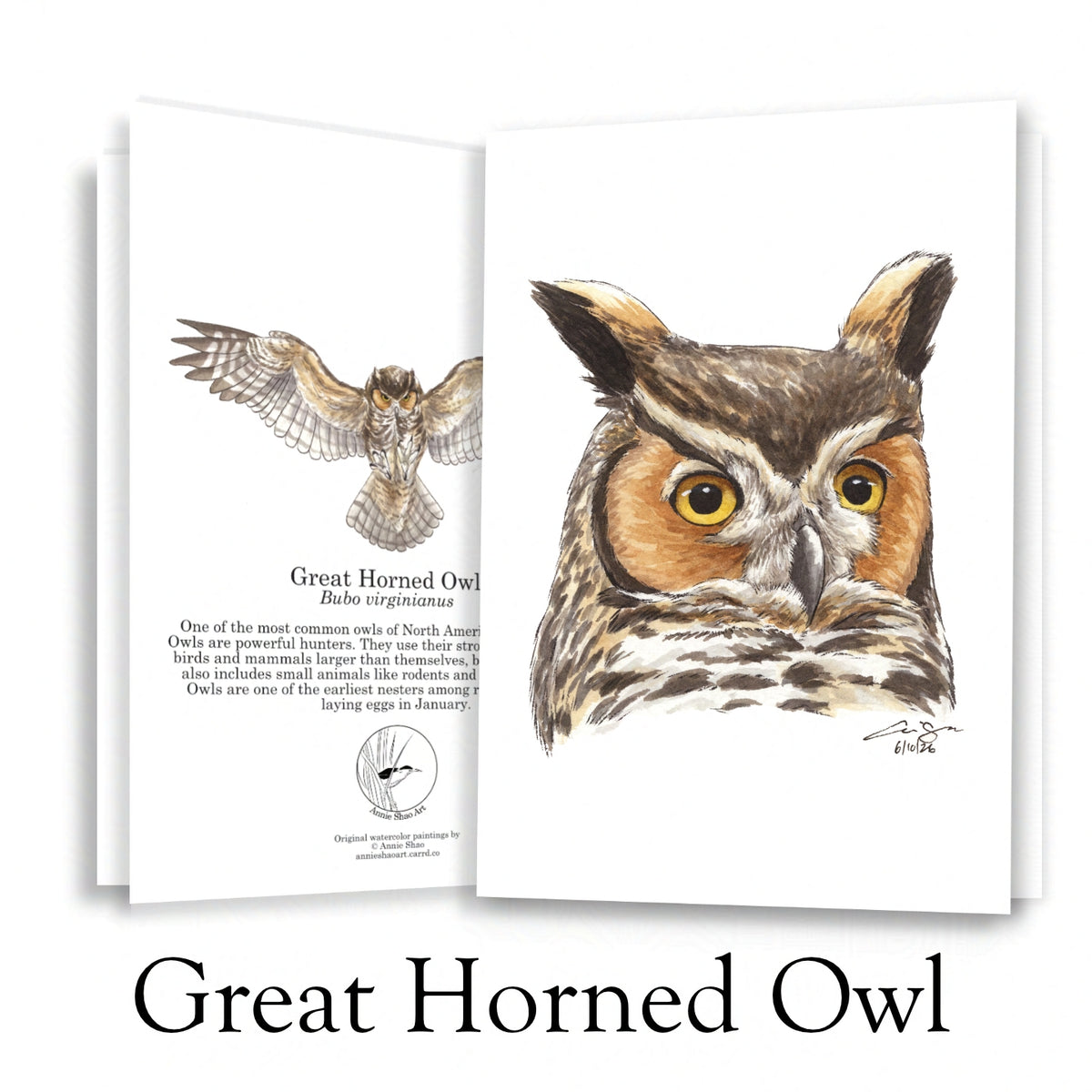 Raptor Greeting Card