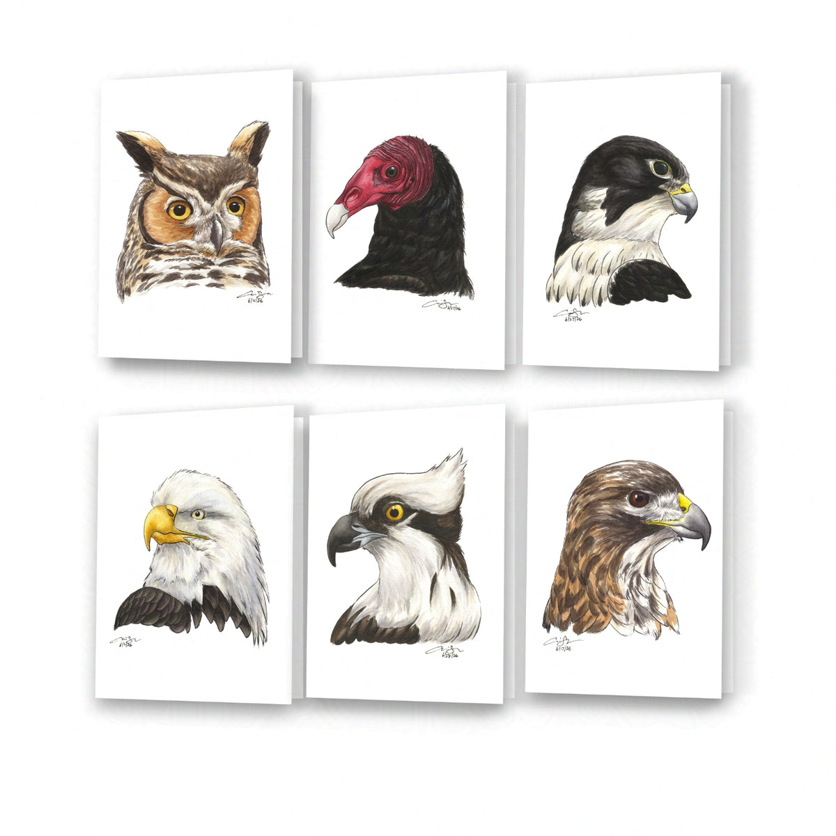 Raptor Greeting Card