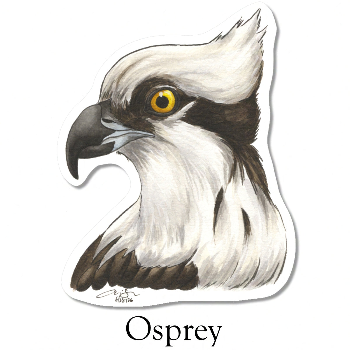Raptor Portrait Stickers (Pre-order)