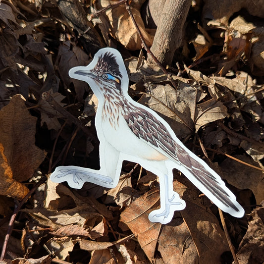 Greater Roadrunner Sticker