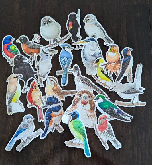Birdtober 2024 Stickers