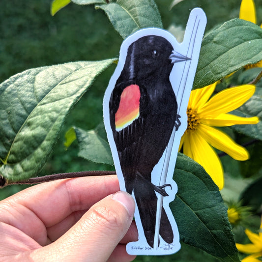 Red-winged Blackbird Sticker
