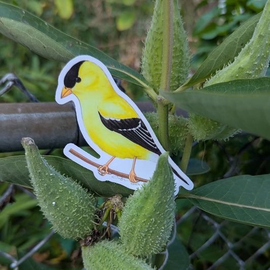 American Goldfinch Sticker
