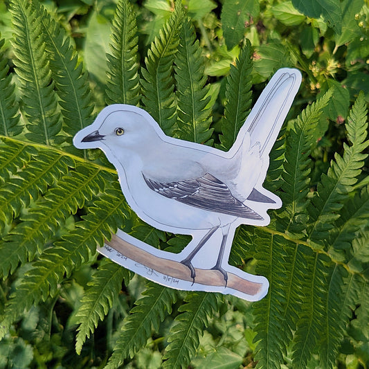 Northern Mockingbird Sticker