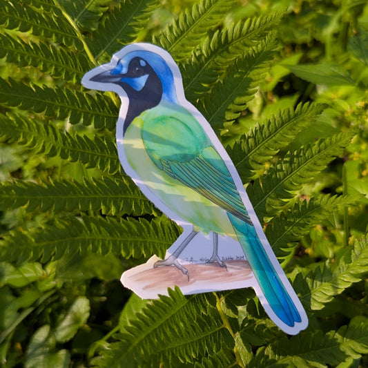 Green Jay Sticker