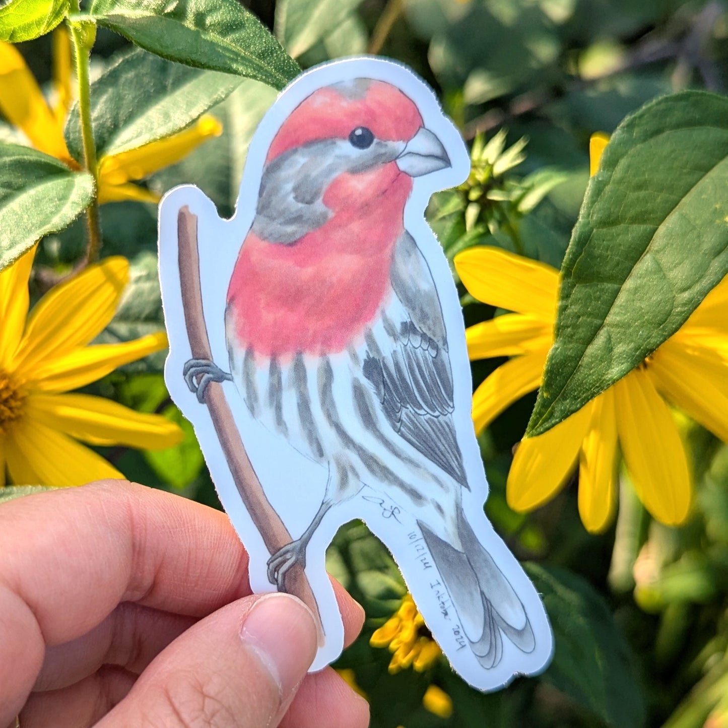 House Finch Sticker