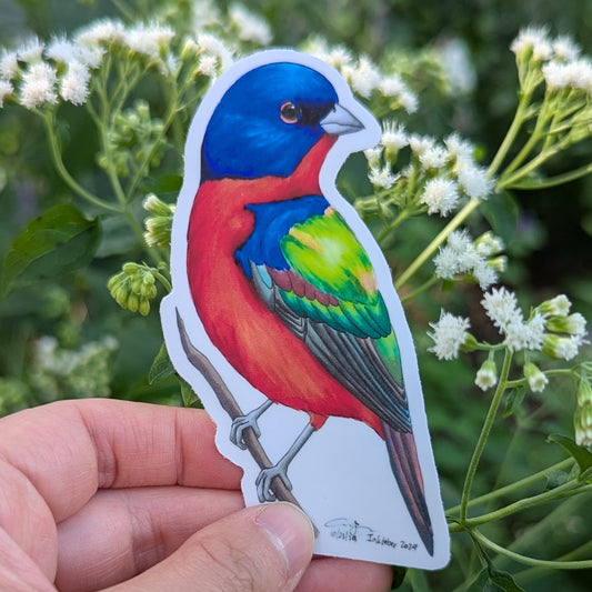 Painted Bunting Sticker