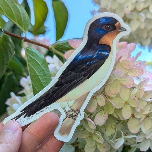 Barn Swallow Sticker