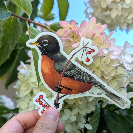 American Robin Sticker