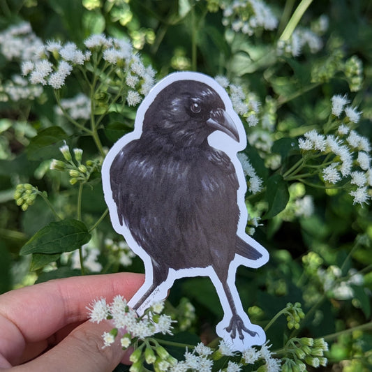 American Crow Sticker