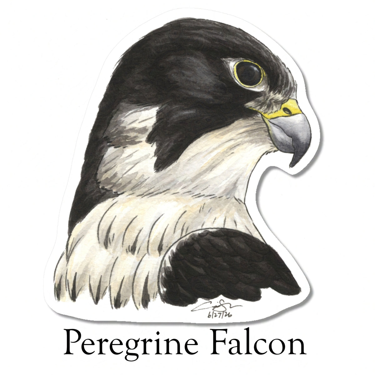Raptor Portrait Stickers (Pre-order)
