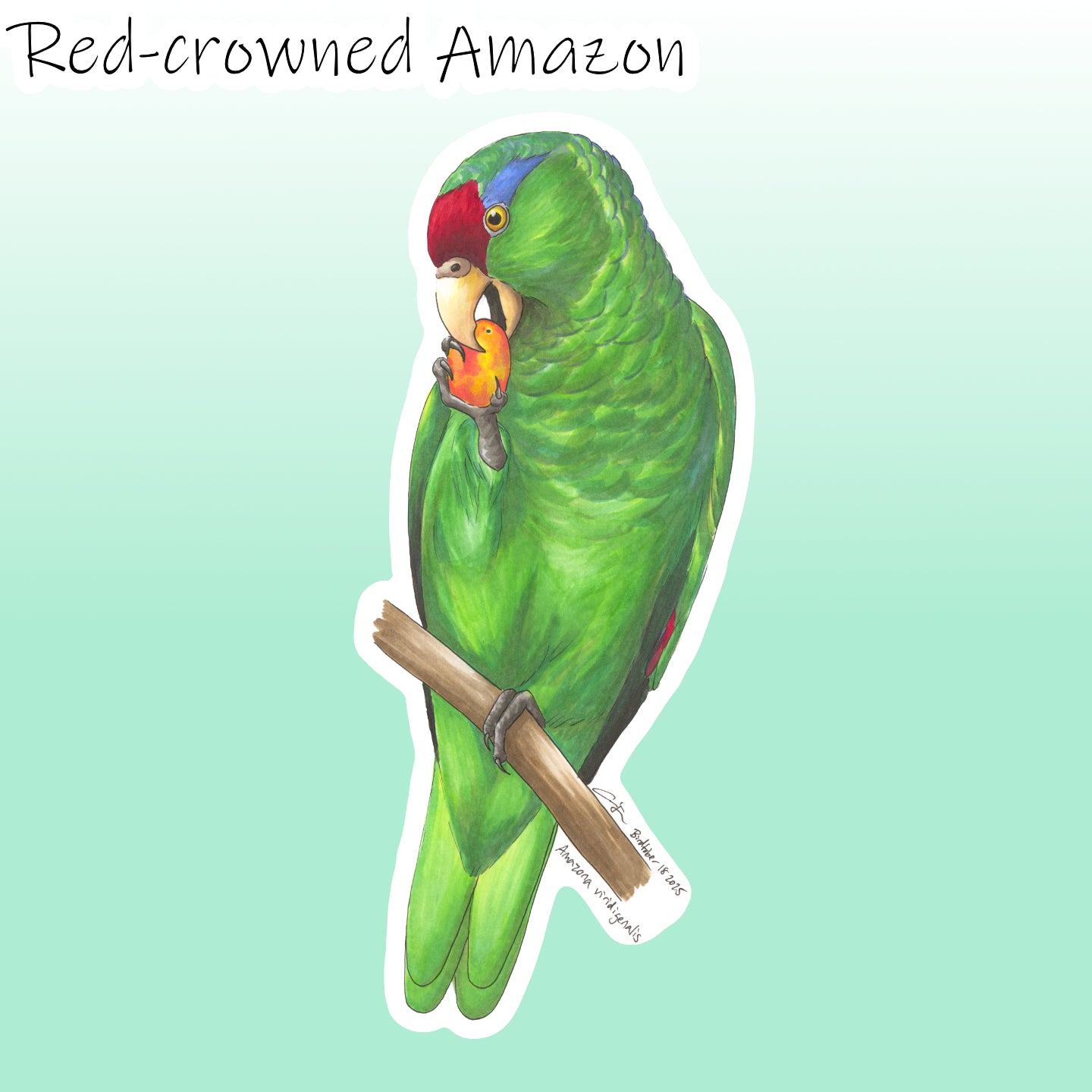 Birdtober 2025 Stickers