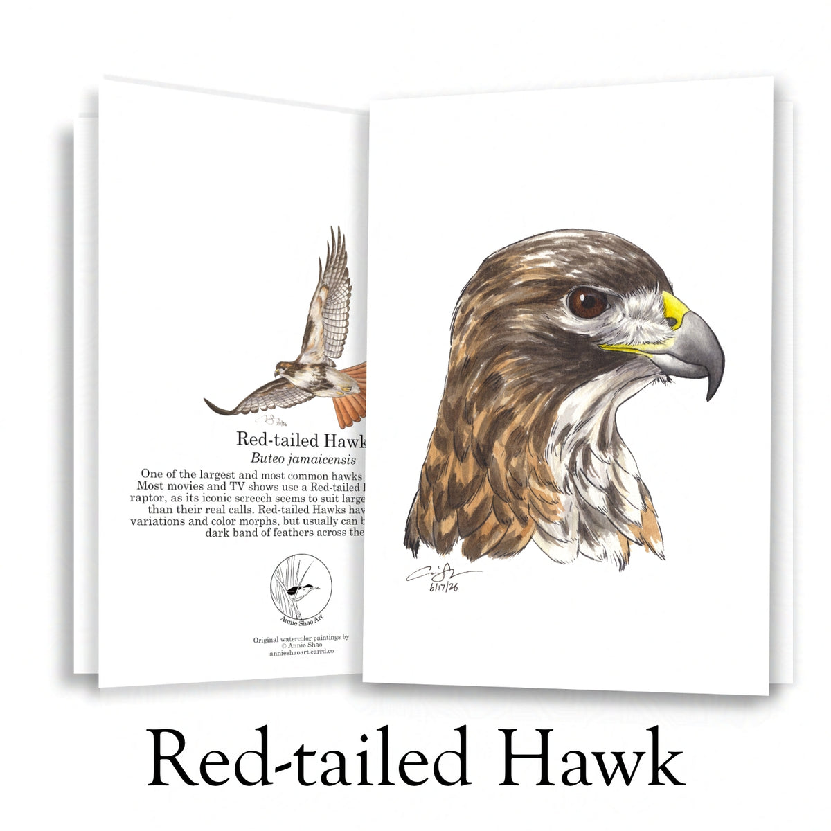 Raptor Greeting Card