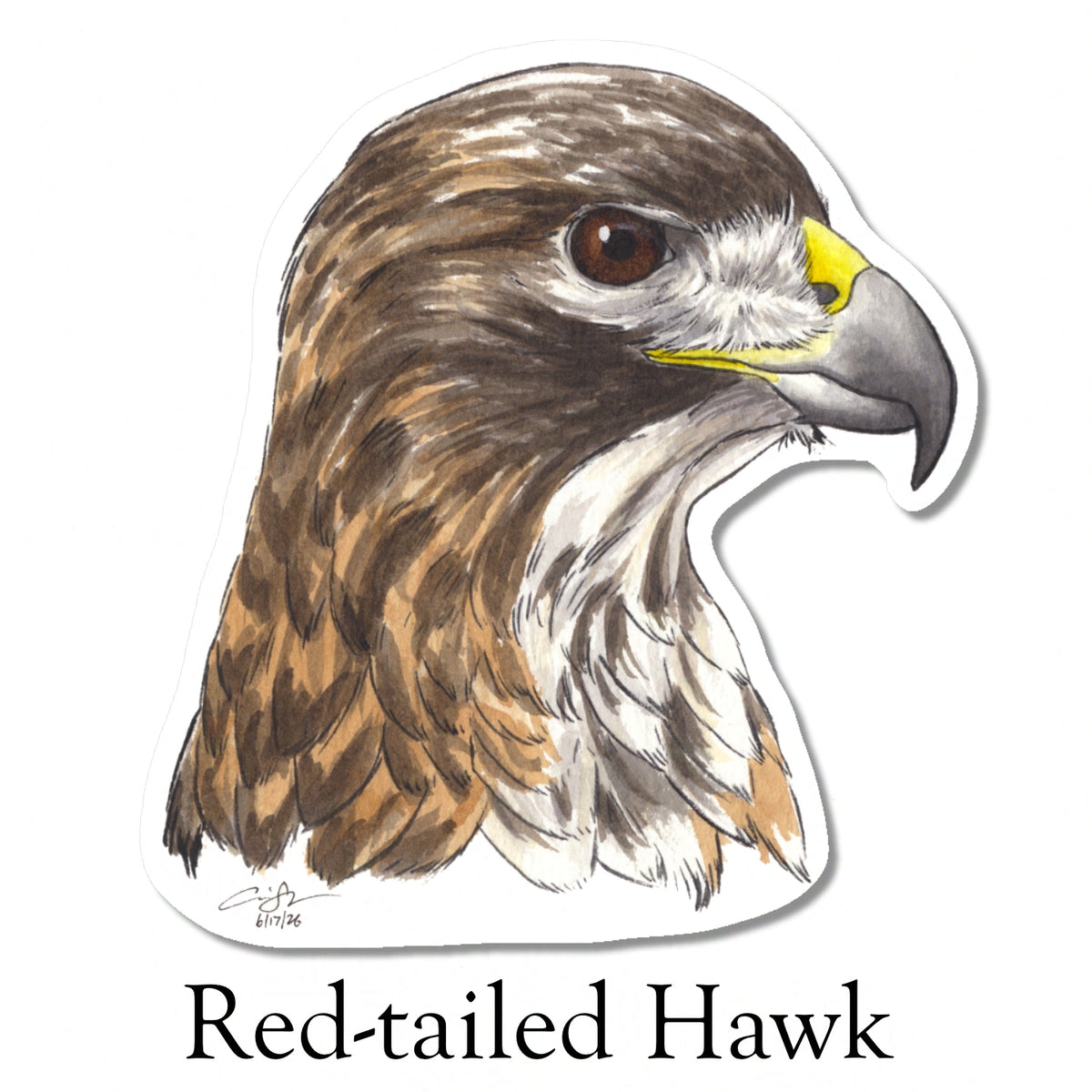 Raptor Portrait Stickers (Pre-order)