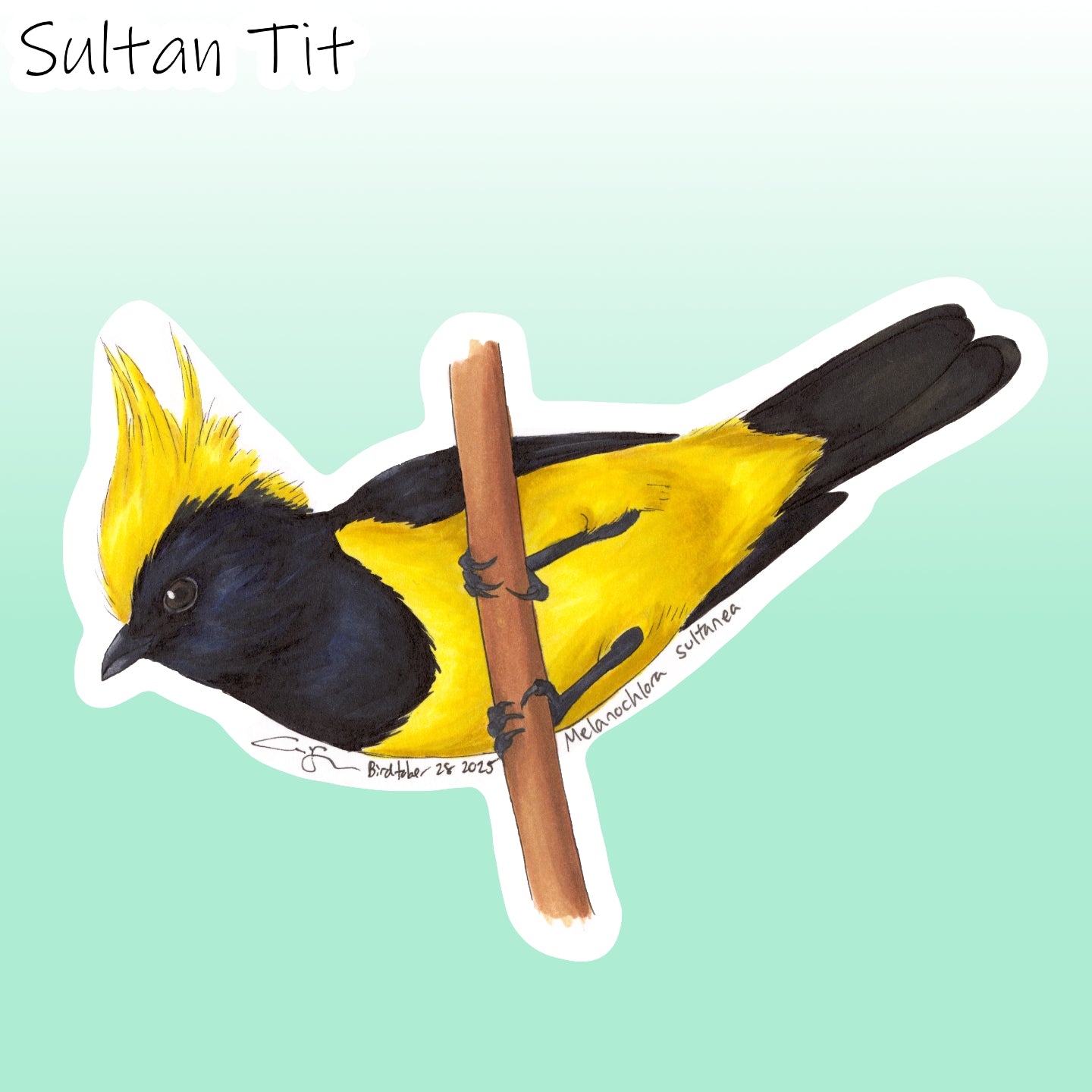 Birdtober 2025 Stickers