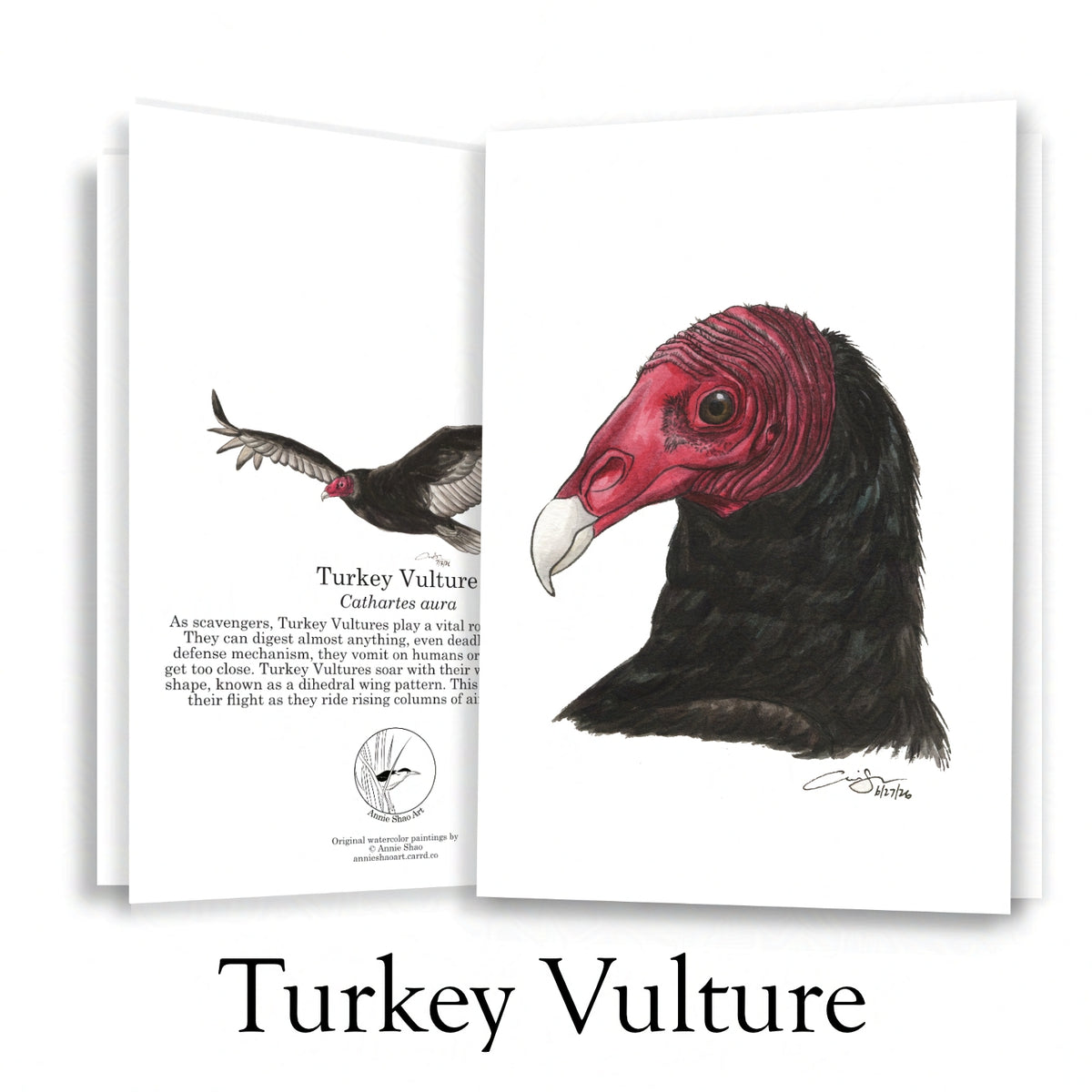 Raptor Greeting Card