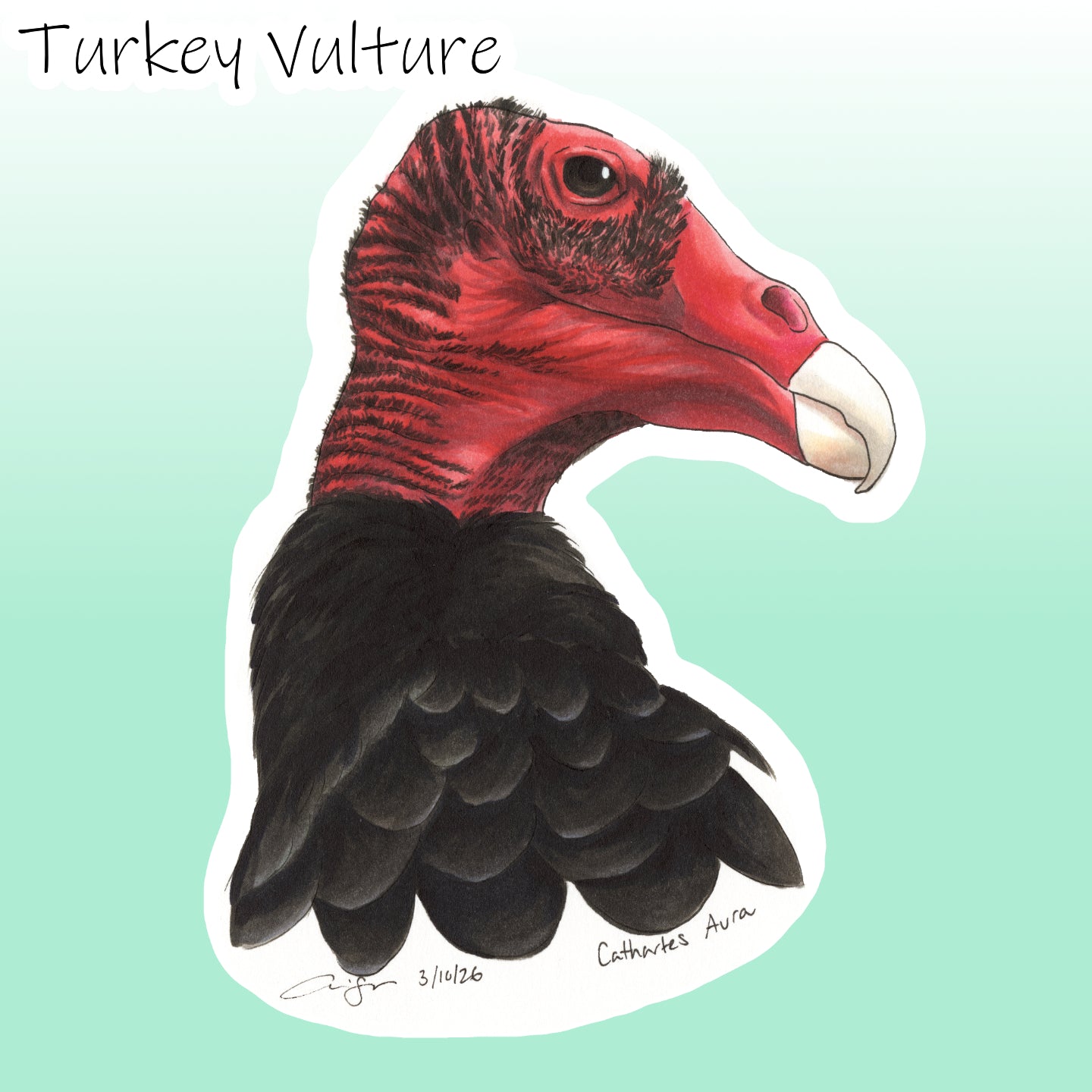 Birdtober 2025 Stickers