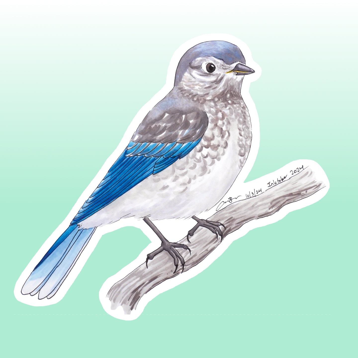 Juvenile Eastern Bluebird Sticker