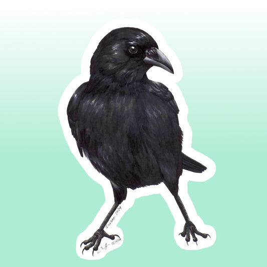 American Crow Sticker