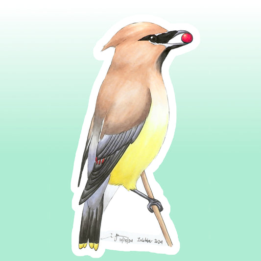 Cedar Waxwing Sticker