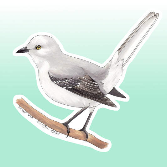 Northern Mockingbird Sticker