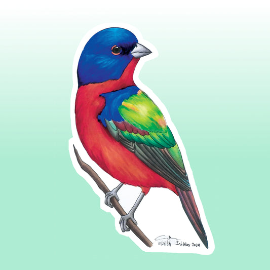 Painted Bunting Sticker