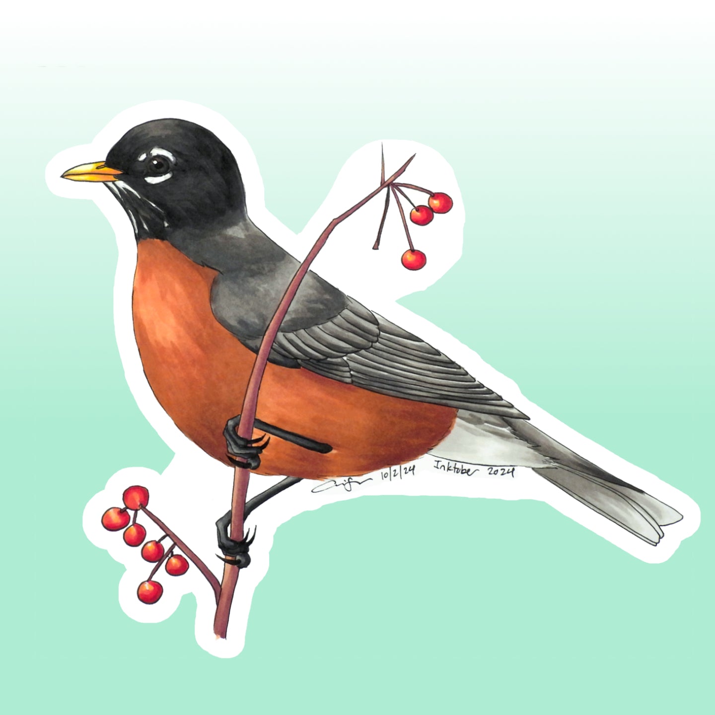 American Robin Sticker