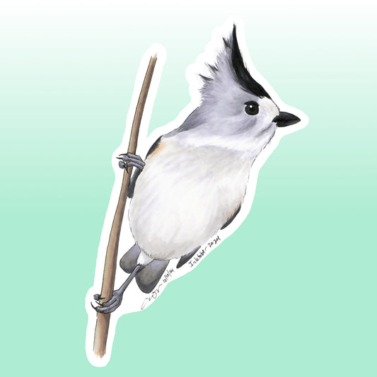 Black-crested Titmouse Sticker